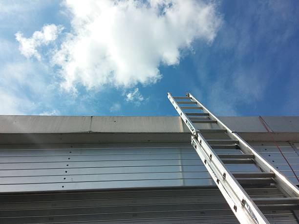 Extendable Ladder